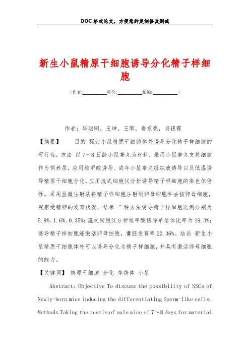 新生小鼠精原干细胞诱导分化精子样细胞