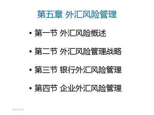 第5章外汇风险管理ppt课件