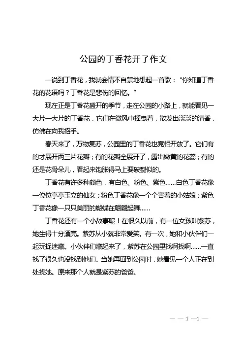 公园的丁香花开了作文