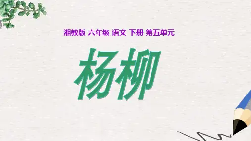 六年级语文下册《杨柳》课件1 湘教版