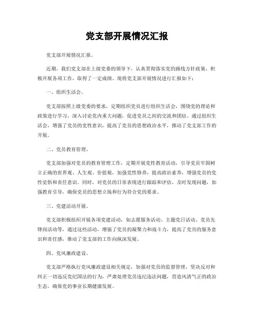 党支部开展情况汇报