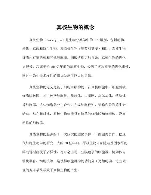 真核生物的概念