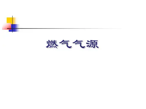 1-燃气性质.