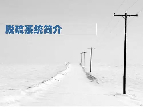 脱硫系统简介