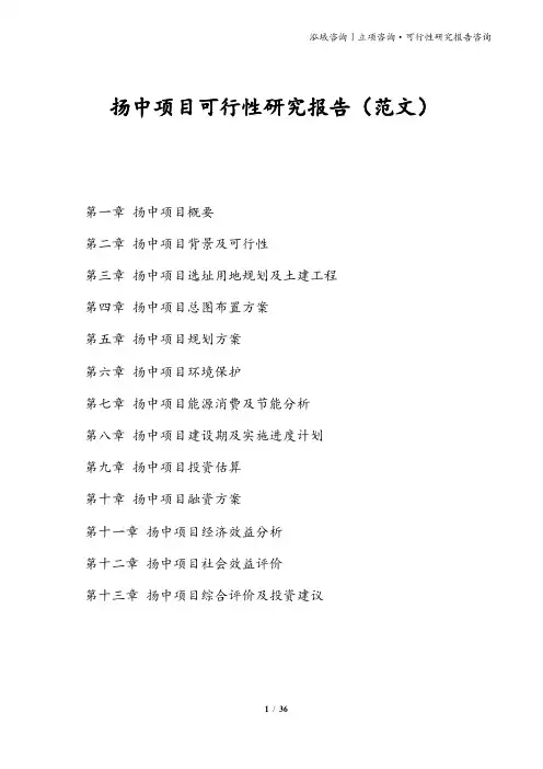 扬中项目可行性研究报告(范文)