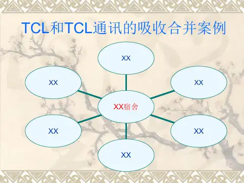 TCL经典案例分析(2)资料