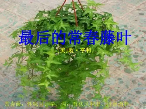 高一语文最后的常春藤叶(201909)