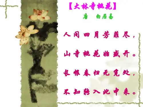 大林寺桃花ppt(精)