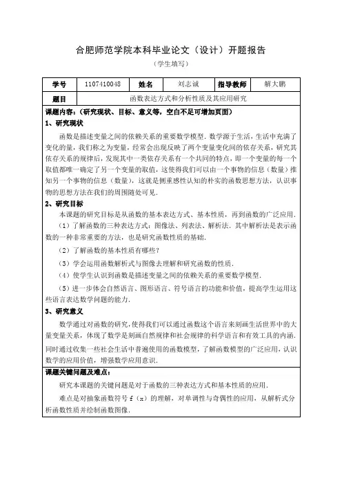 函数开题报告