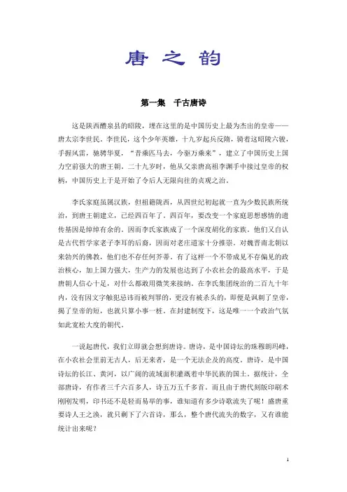 唐之韵解说词全集(20集)