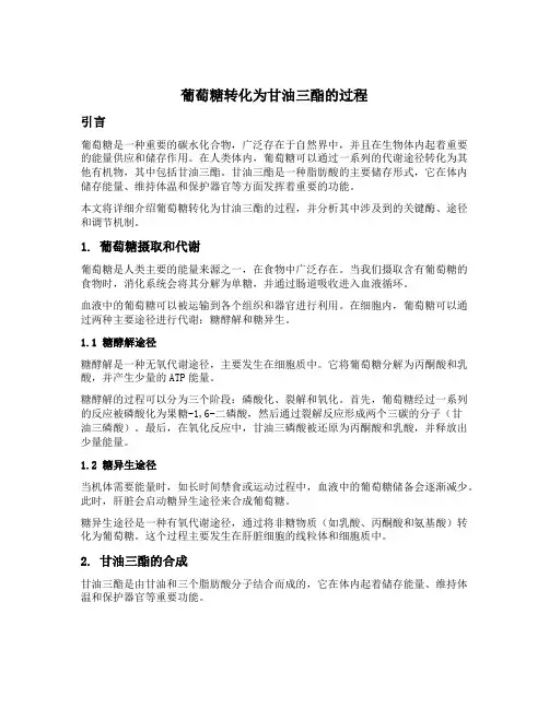 葡萄糖转化为甘油三酯的过程
