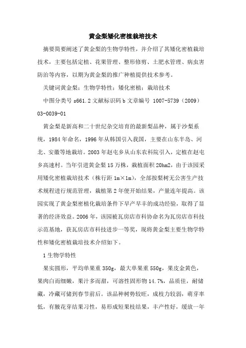黄金梨矮化密植栽培技术