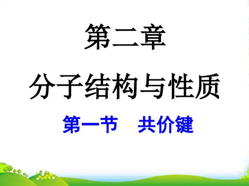 人教版高中化学选修三第二章第一节 共价键 课件(共22张PPT)