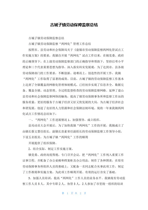古城子镇劳动保障监察总结