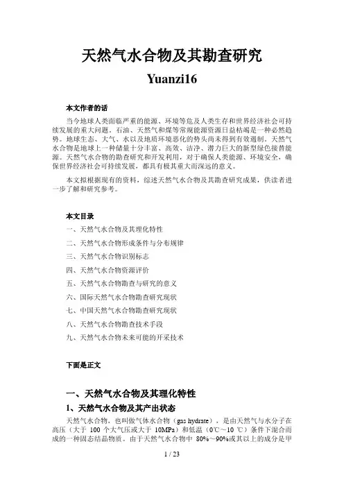 天然气水合物及其勘查研究