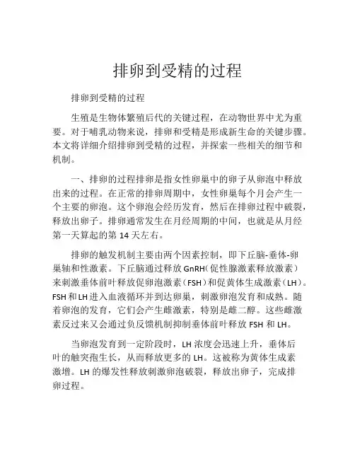 排卵到受精的过程
