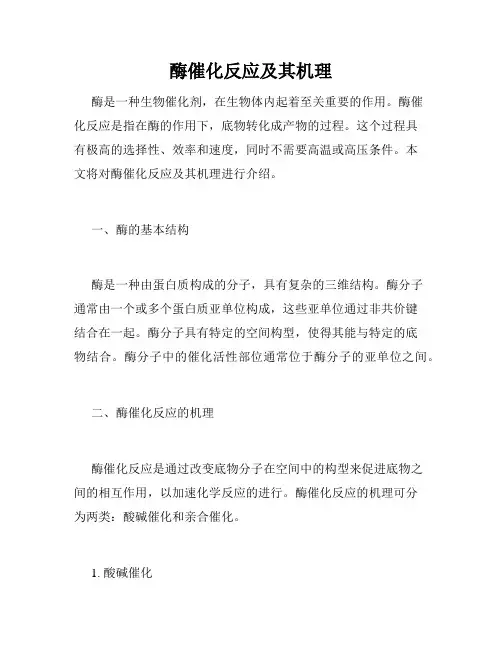 酶催化反应及其机理