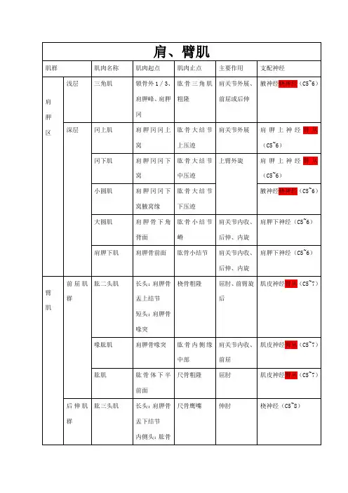 上肢肌肉分布、神经支配