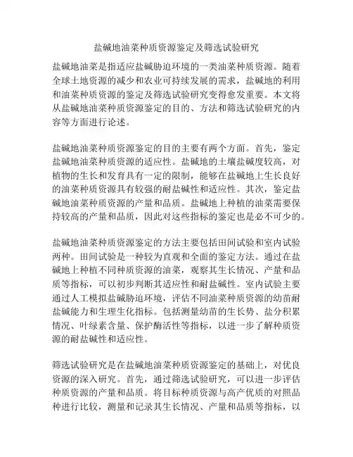 盐碱地油菜种质资源鉴定及筛选试验研究