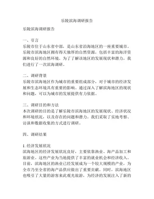 乐陵滨海调研报告