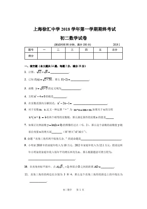 上海徐汇中学2018学年第一学期期终考试数学试卷