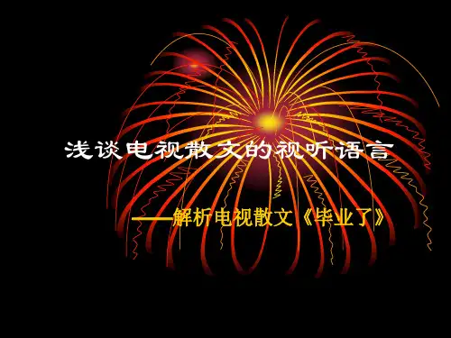 广播电视编导论文答辩《毕业了》