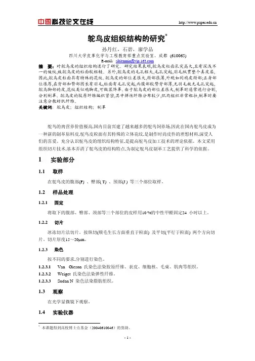鸵鸟皮组织结构的研究