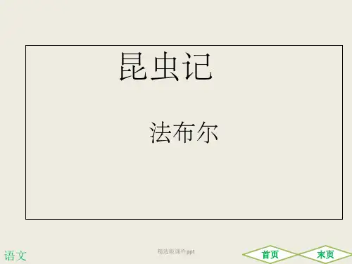 昆虫记(共96张ppt)