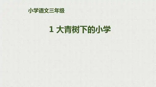 统编版三年级语文上册1.《大青树下的小学》课件(共25张PPT)(3)