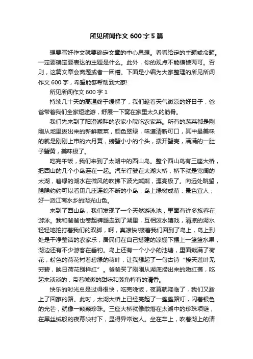 所见所闻作文600字5篇