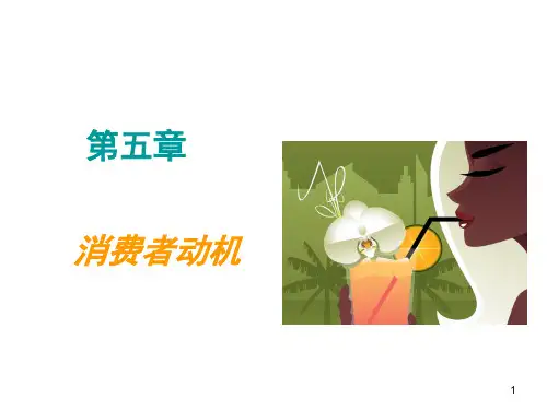 消费者行为学第五章 消费者动机