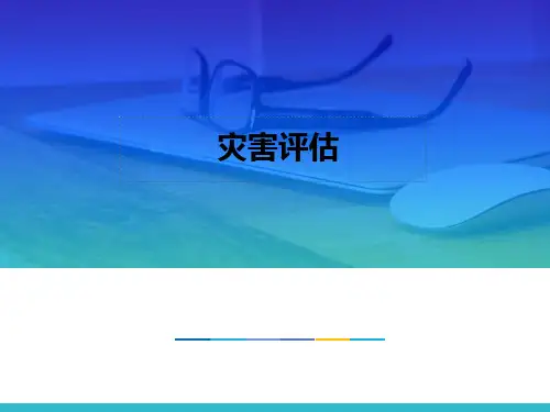 灾害评估