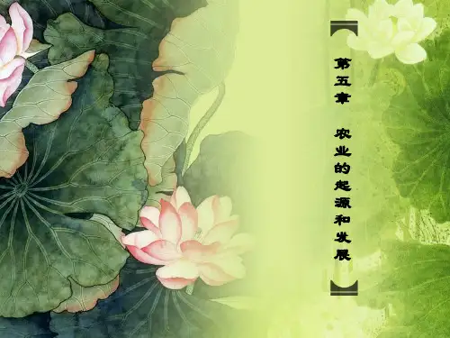 人文地理农业的起源与发展-