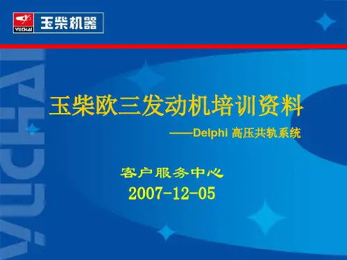 Delphi 高压共轨系统