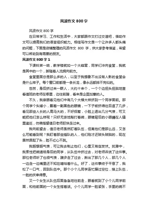 风波作文800字