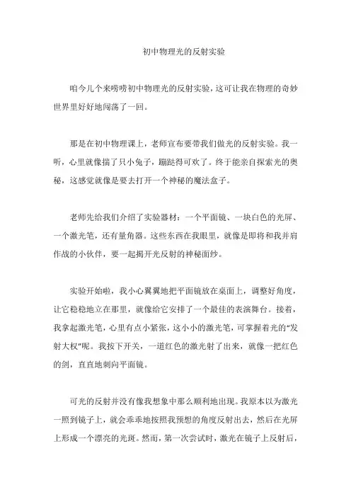 初中物理光的反射实验