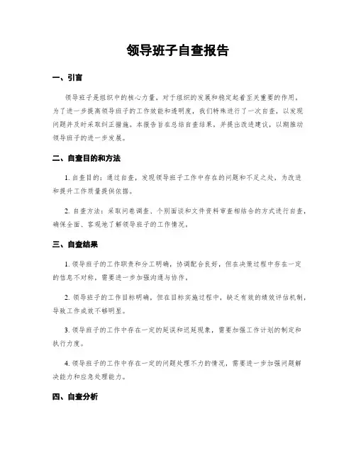 领导班子自查报告