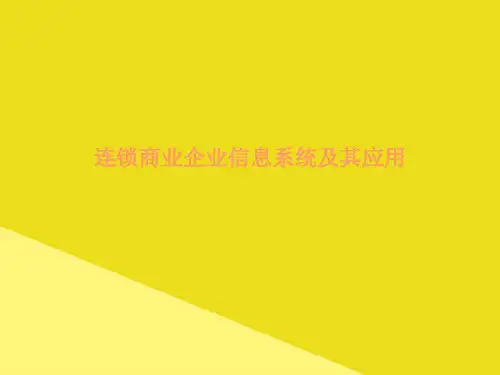 连锁商业企业信息系统及其应用PPT资料(正式版)
