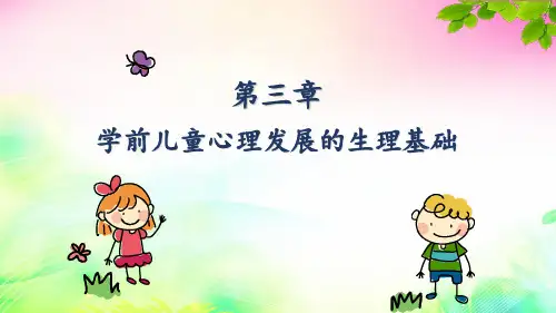学前儿童发展心理学 第3章 学前儿童心理发展的生理基础PPT课件