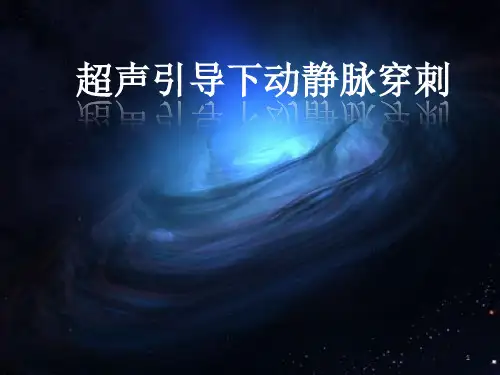 超声引导下动静脉穿刺PPT课件