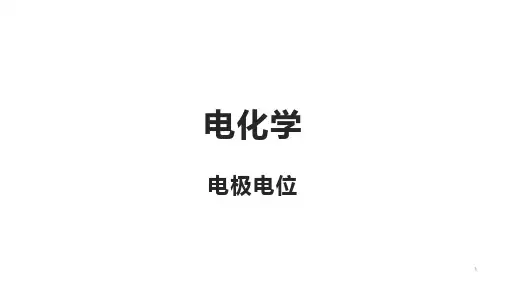 电化学 电极电势ppt课件