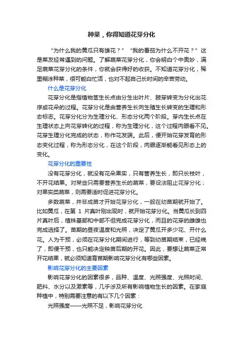 种菜，你得知道花芽分化
