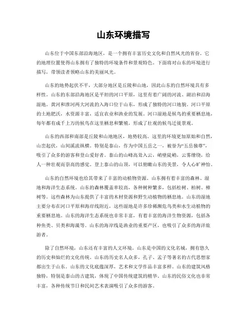 山东环境描写