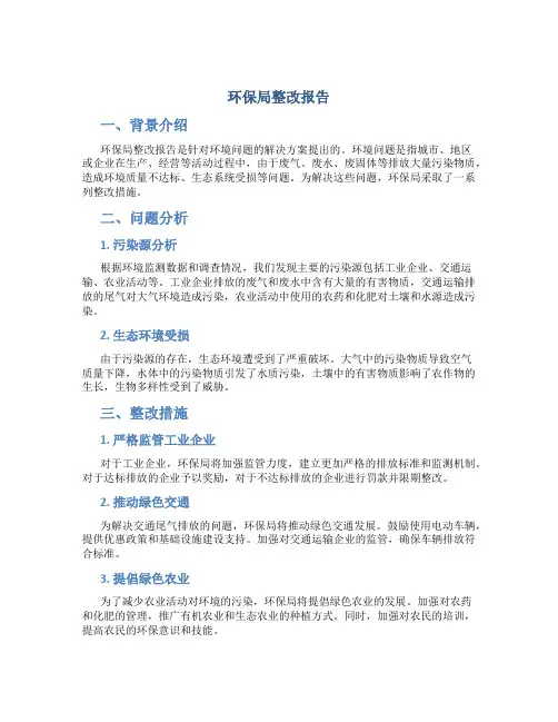 环保局整改报告