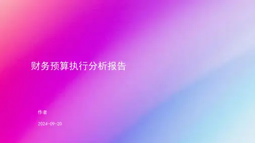 工作总结之财务预算执行分析报告
