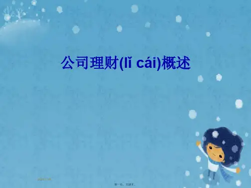 公司理财概述