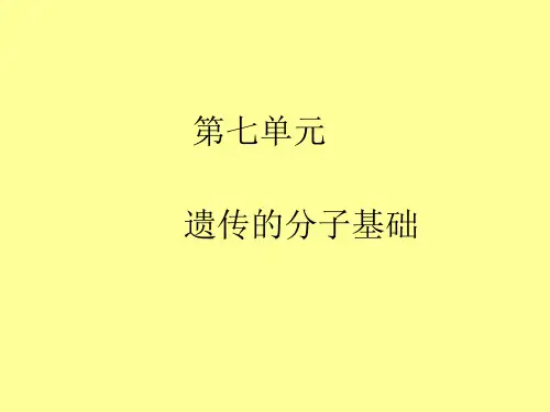 高中生物二轮复习课件：遗传分子的基础ppt