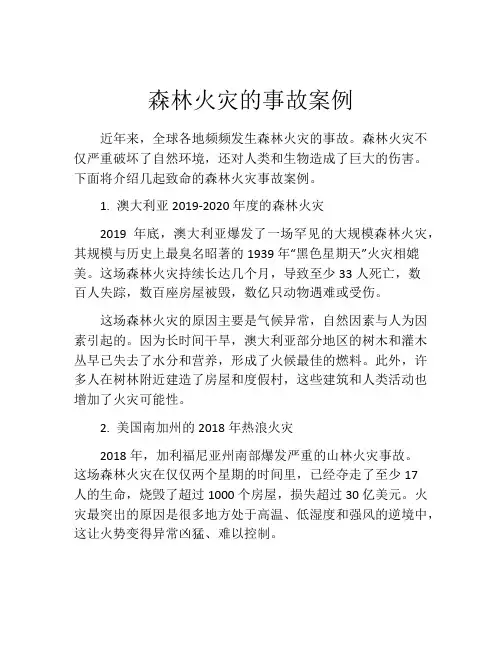 森林火灾的事故案例