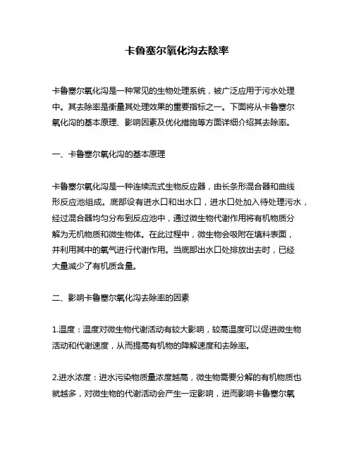 卡鲁塞尔氧化沟去除率