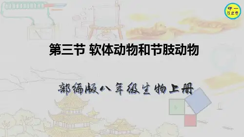 部编八年级生物上册-软体动物和节肢动物(附习题)